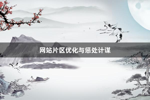 网站片区优化与惩处计谋