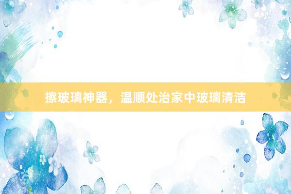 擦玻璃神器，温顺处治家中玻璃清洁