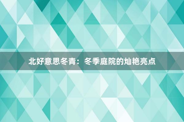 北好意思冬青：冬季庭院的灿艳亮点